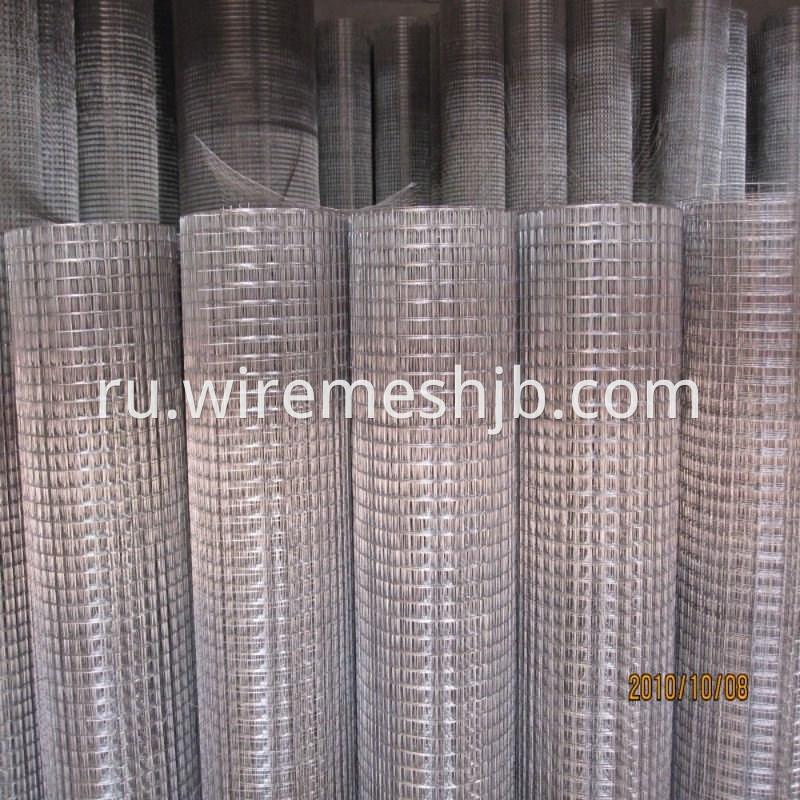 Welded Wire Mesh 